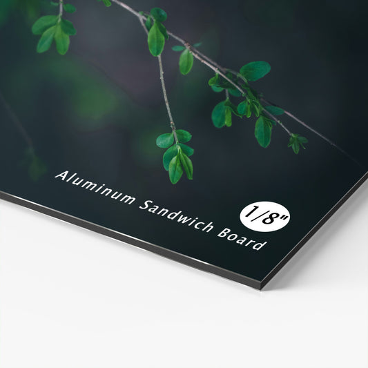 Aluminum Sandwich Board — custom printed